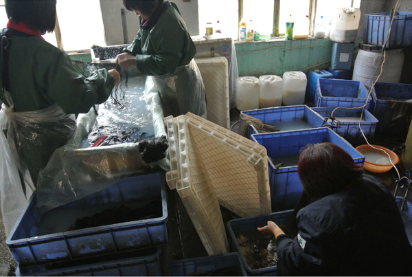 workers wash hair in workshop